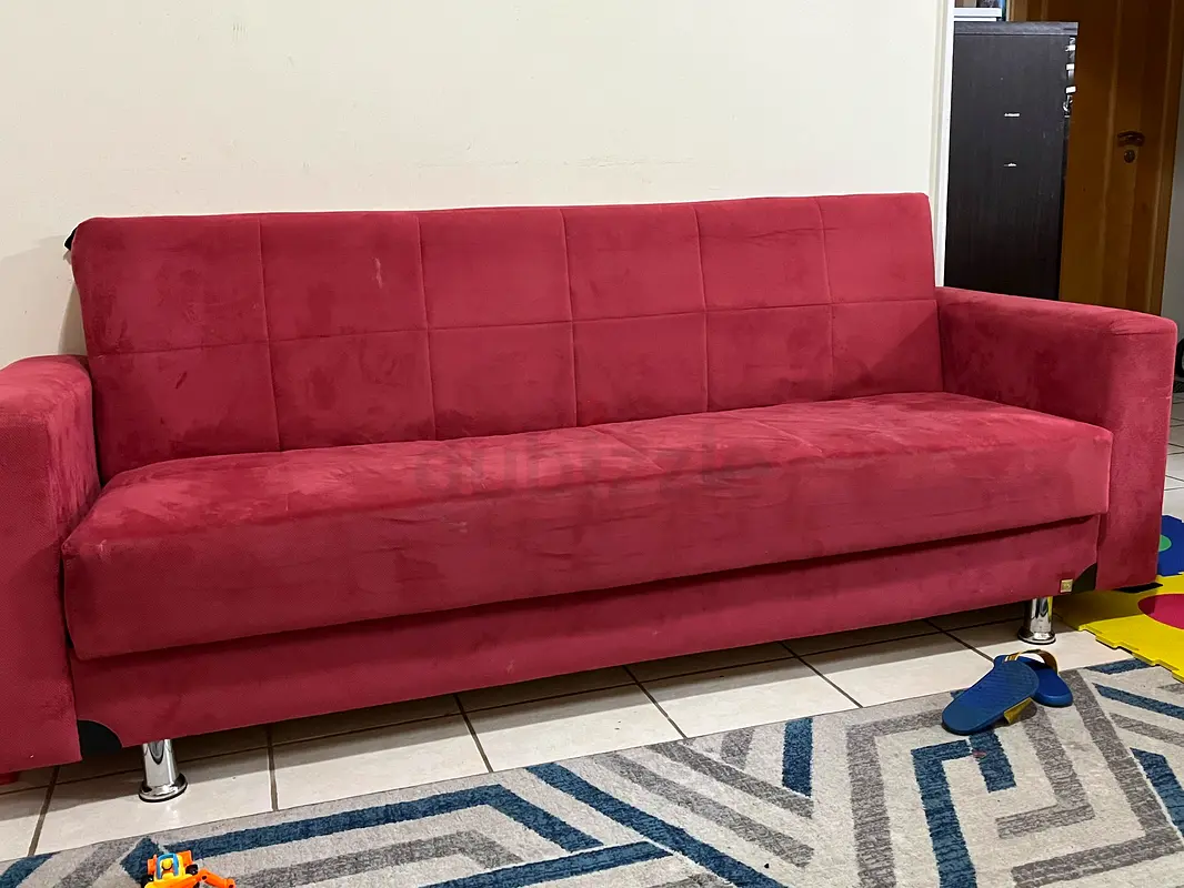 Homebox sofa cum bed with box