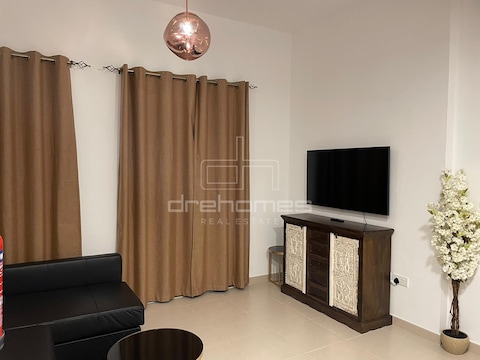 Fully Furnished |spacious |studio For Rent