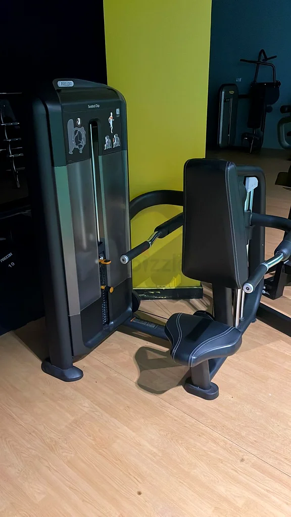 Precor discovery series dips machine