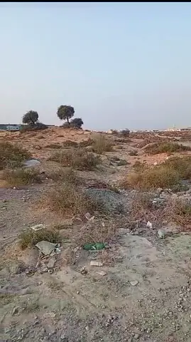 Land For Sale 20000 Sqft To 1 Million Sqft Free Hold Any Nationality Can Buy In Al Saja Industria