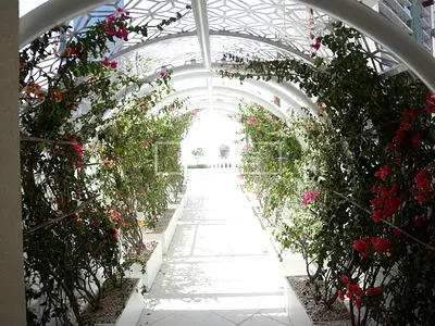 Vacant | Excellent Location | Bright Studio