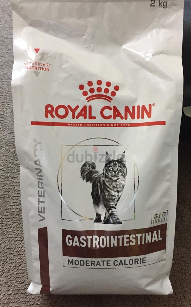 Royal canin gastrointestinal for clearance cats