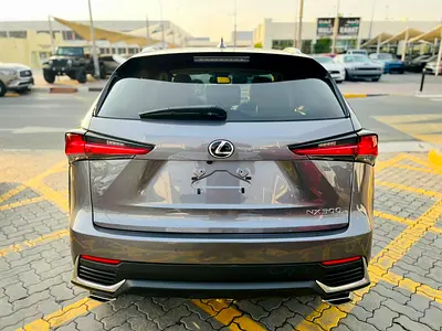 2021 Lexus NX-SERIES 照片 3