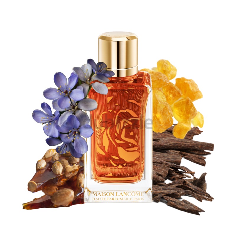 Parfum oud bouquet online lancome