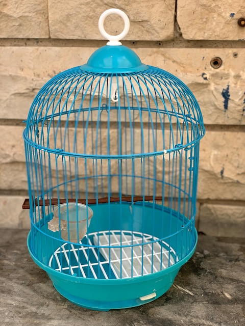 Hanging bird cages for sales sale