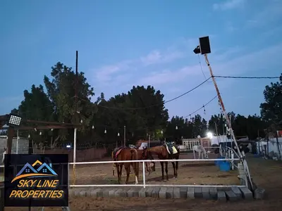 A Horse Farm For Monthly Rent In Al Zubair, Sharjah, Close To Al Helio Area, Ajman