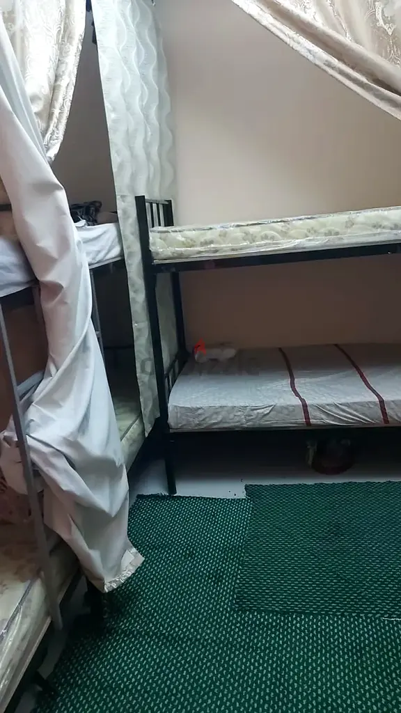 Apartment Bed space Al Rigga Africans are Dubai