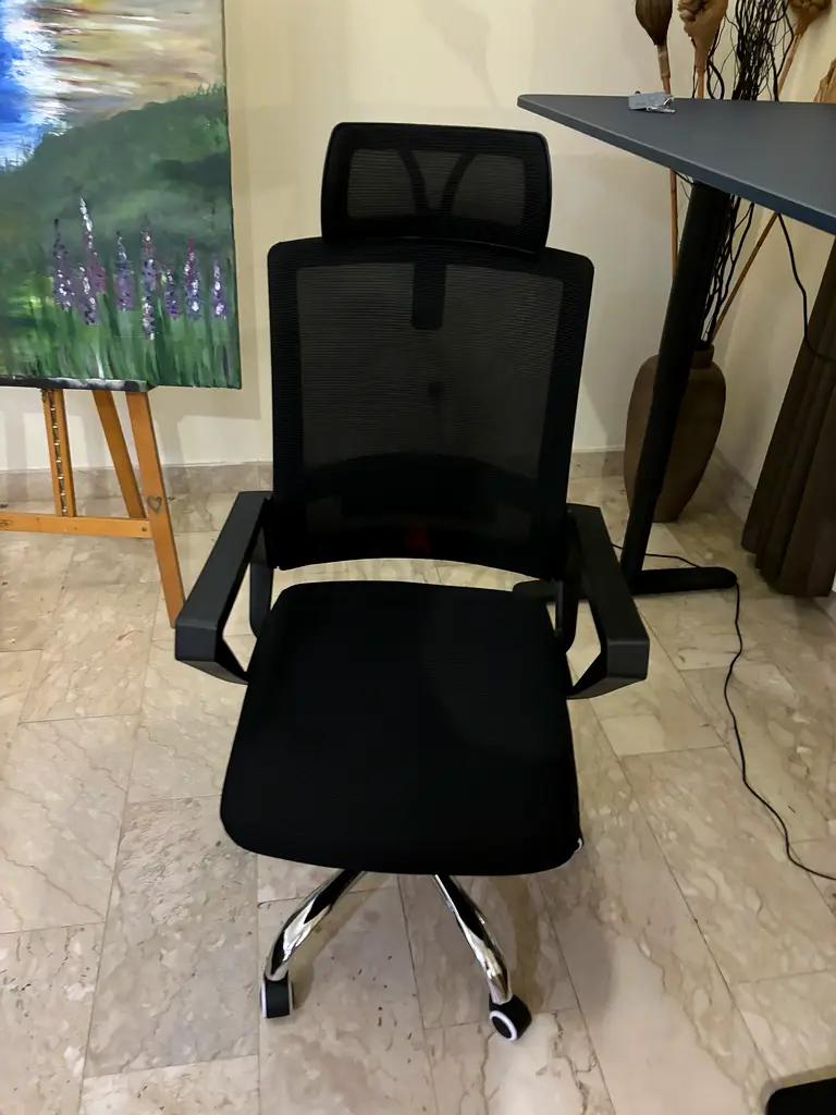 Ergonomic office desk chair