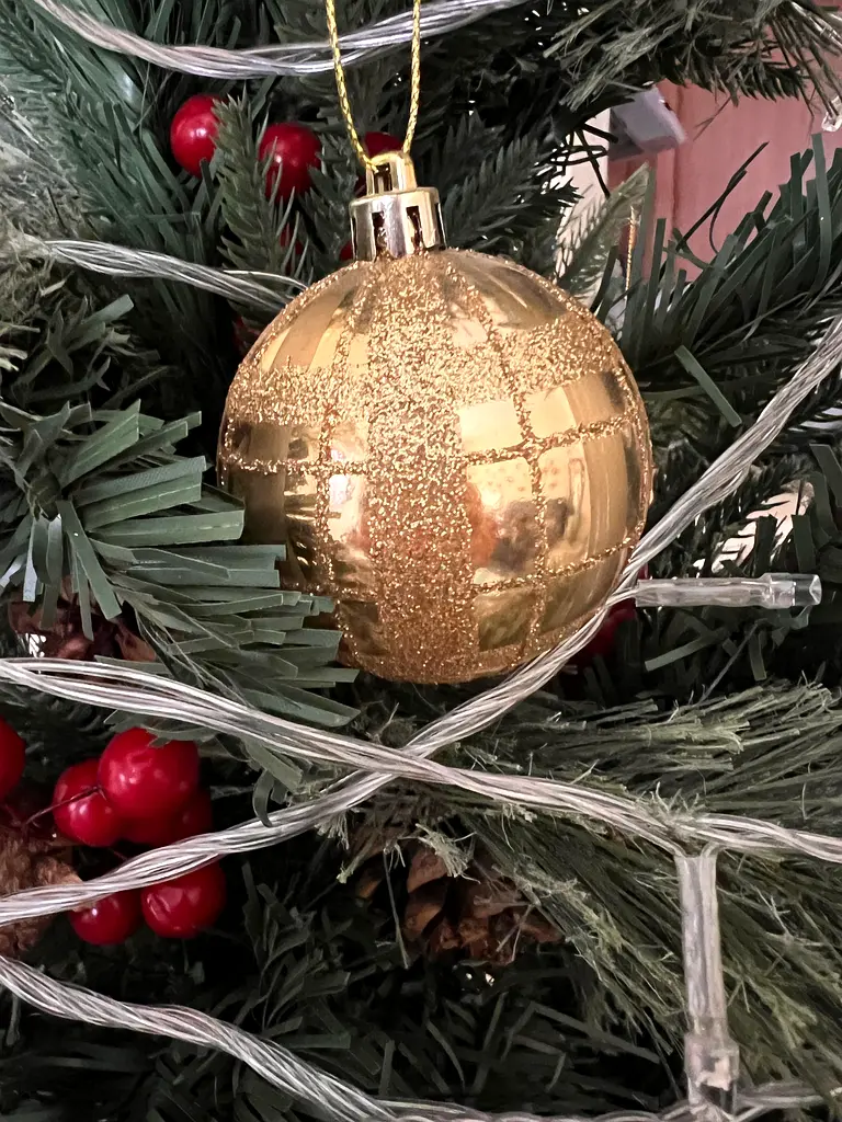 Christmas Tree For Sale