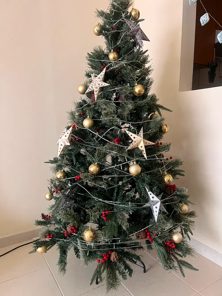 Christmas Tree For Sale