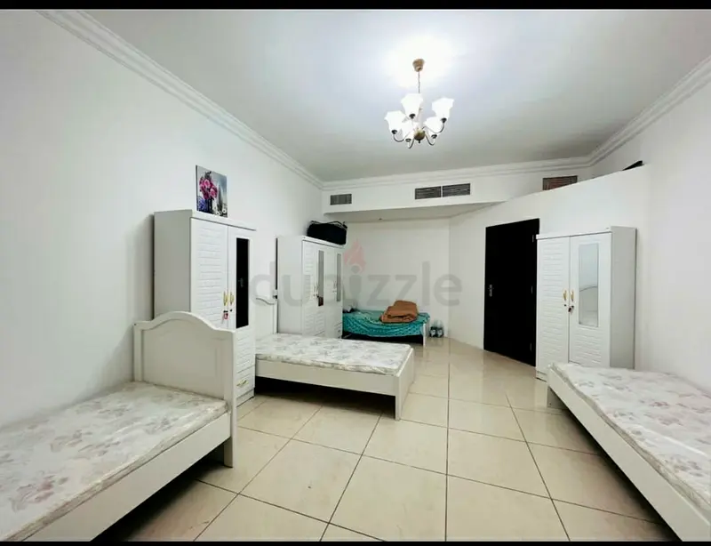 Apartment/Flat for Rent EXECUTIVE BED SPACE AVAILABLE SHARJAH MUWAILAH All Cities (UAE)