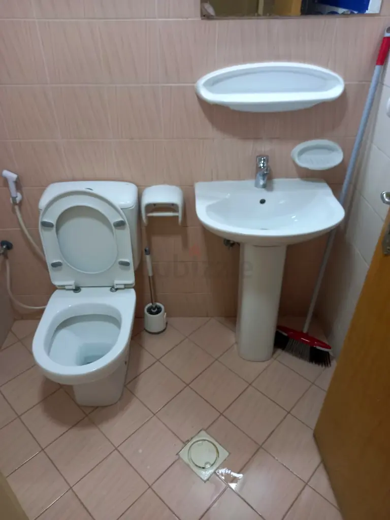 Apartment/Flat for Rent Bedspace 550 available sea view ajman corniche