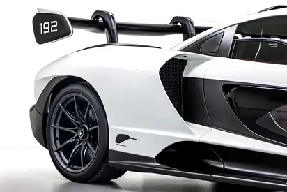 2019 Mclaren SENNA photo 18