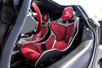 2019 Mclaren SENNA photo 8