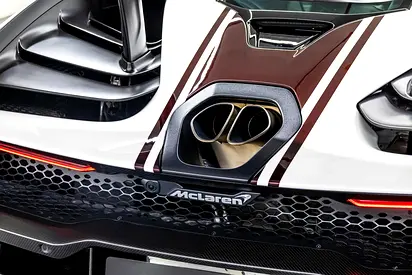 2019 Mclaren SENNA photo 20