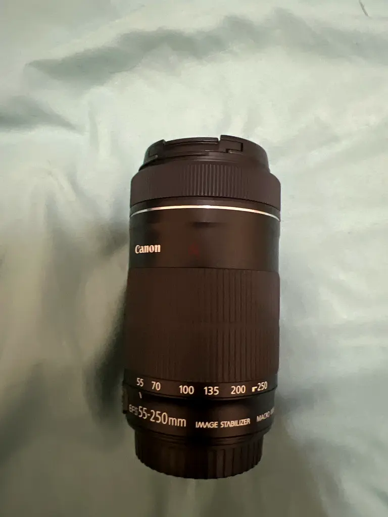 Canon EFS 55250mm lens