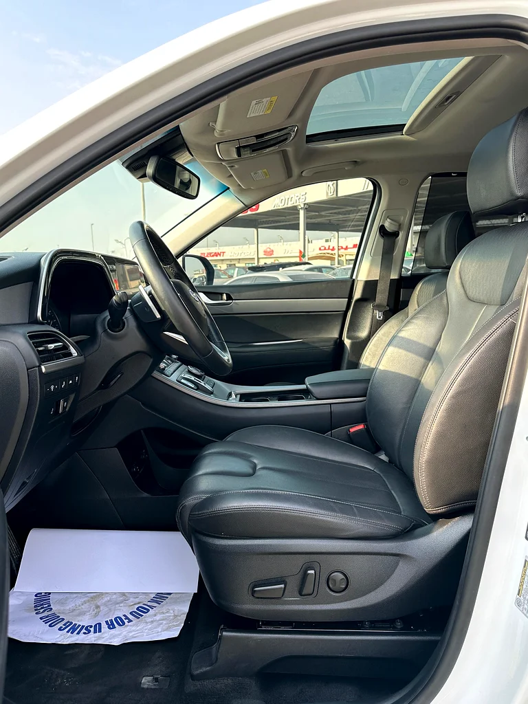 2021 Hyundai palisade SEL63170387683842113