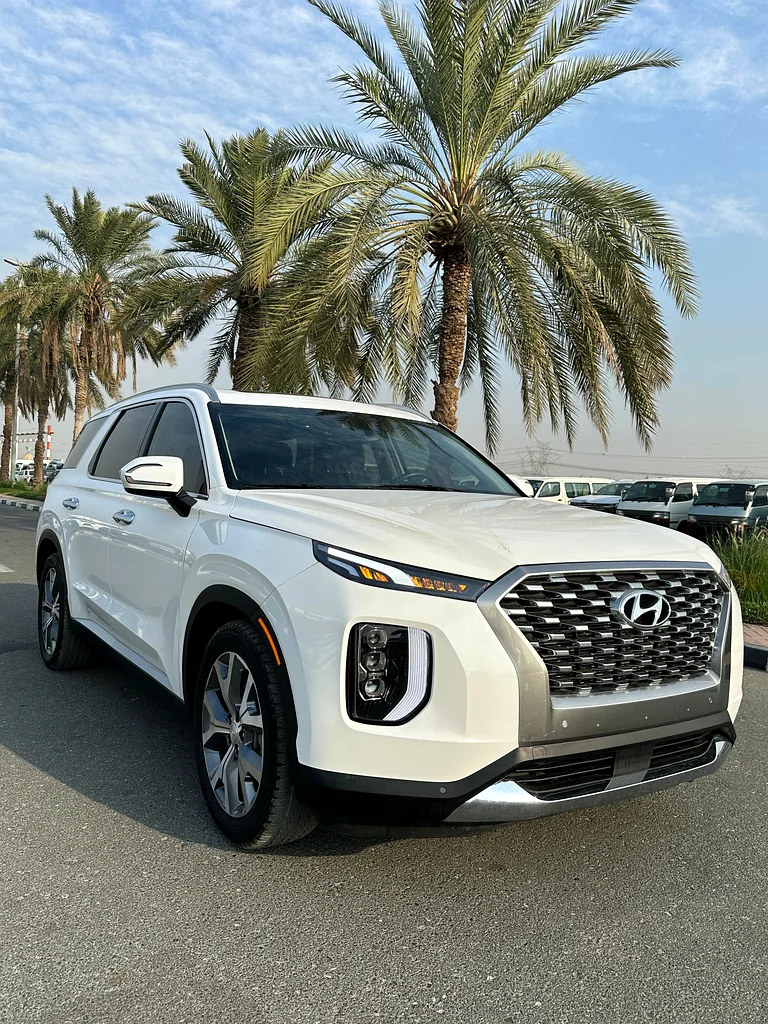 2021 Hyundai palisade SEL631703876838421120