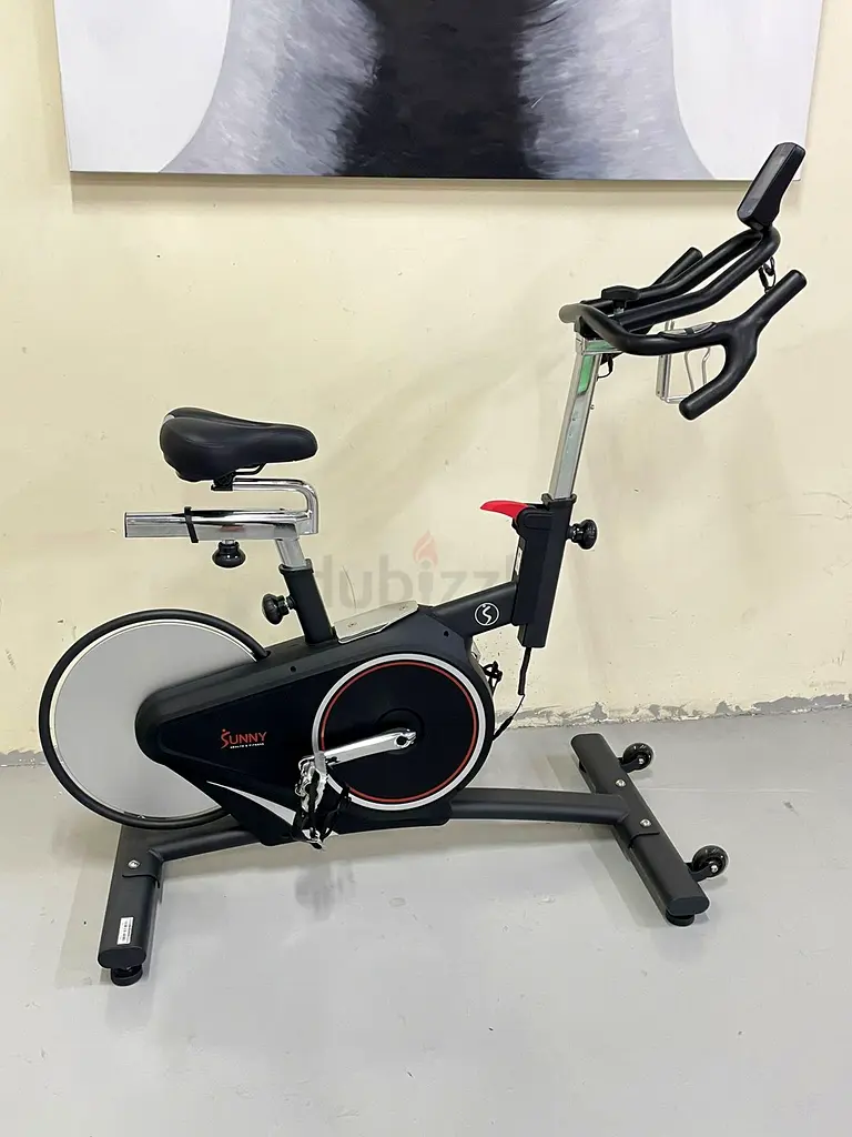 Sunny health and fitness exercise cycle