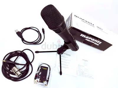 Marantz Professional M4U Computer Microphone.