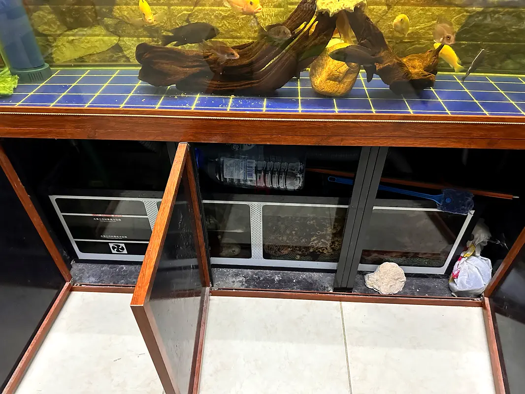 Large Aquarium for Sale