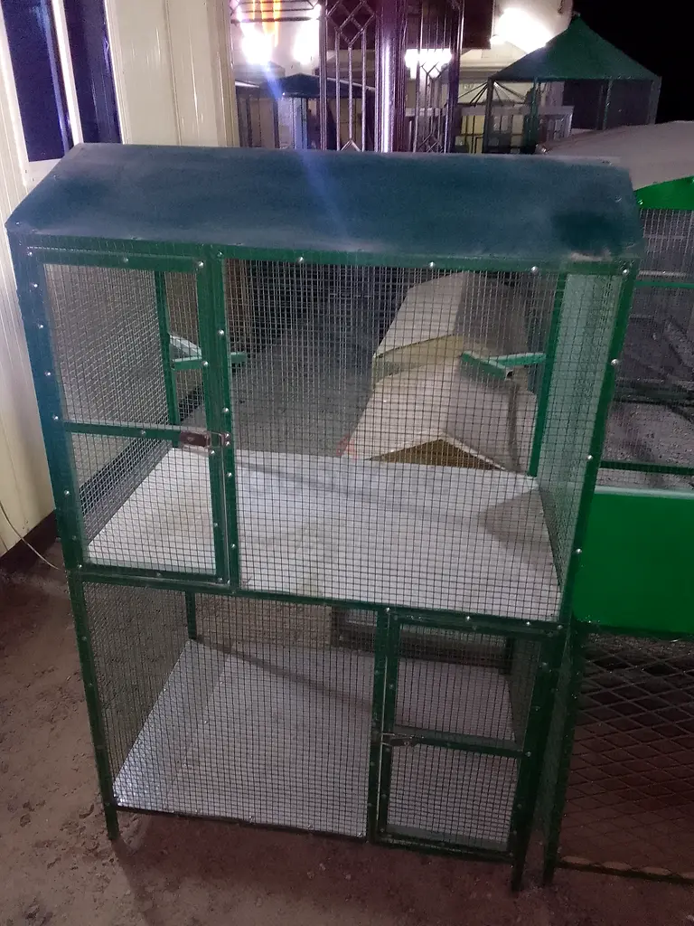 4x2 two floor cage