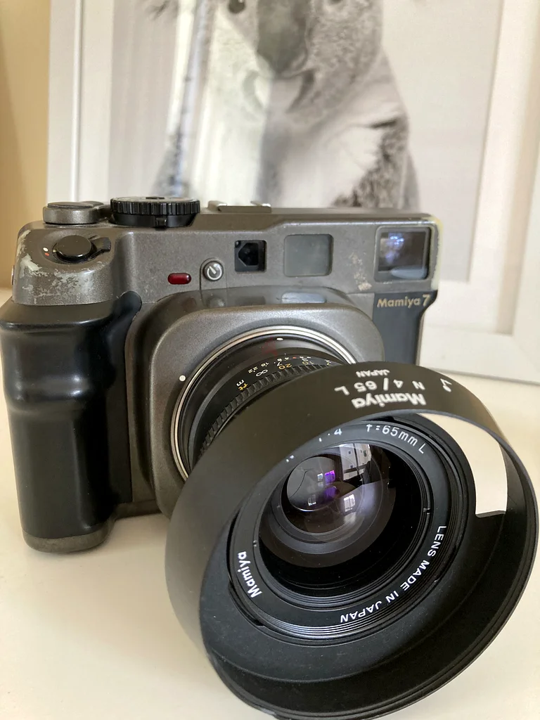 Mamiya 763234133631874110