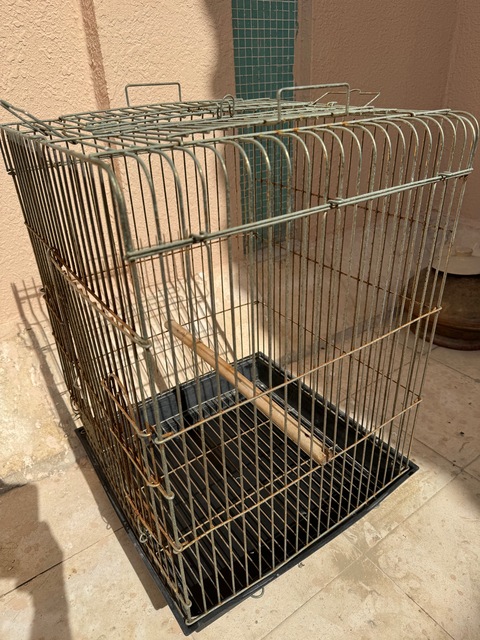 Online bird cages for clearance sale