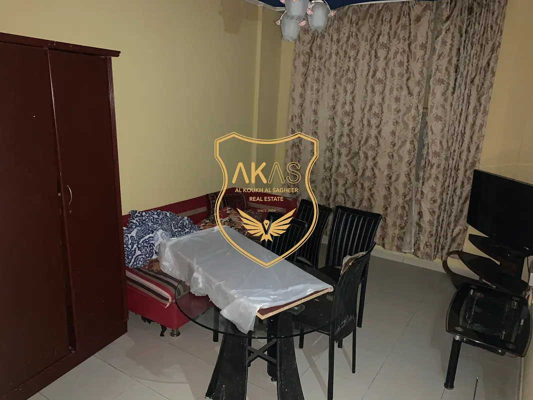 Apartment/Flat Spacious 1BHK Furnished Apart Central AC/GAS Near