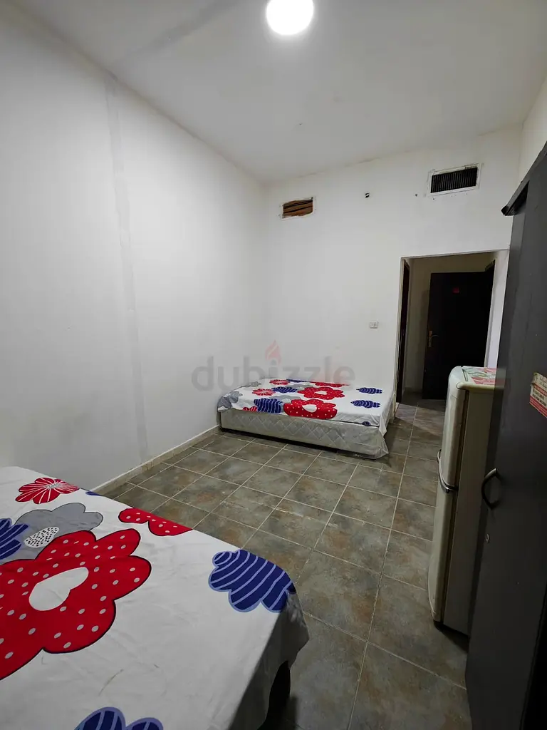 Apartment/Flat for Rent Executive Bachelor Room With Attached bathroom