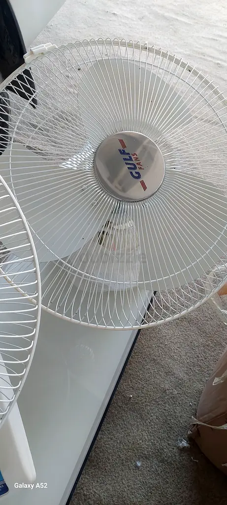 Fan
