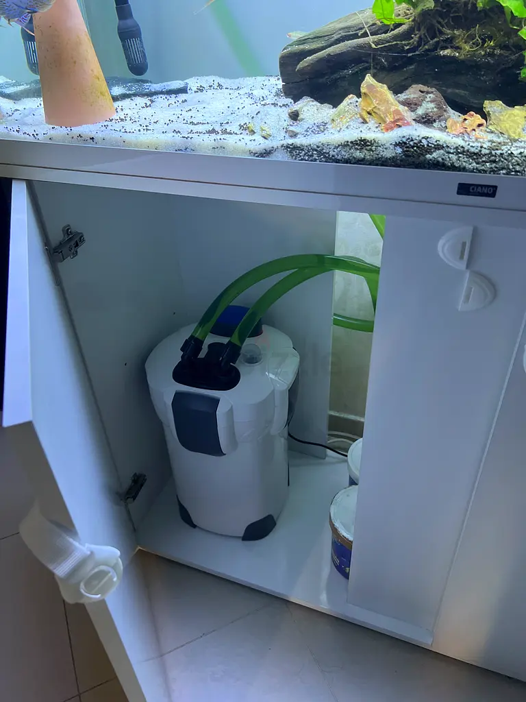 Fish tank aquarium for sale
