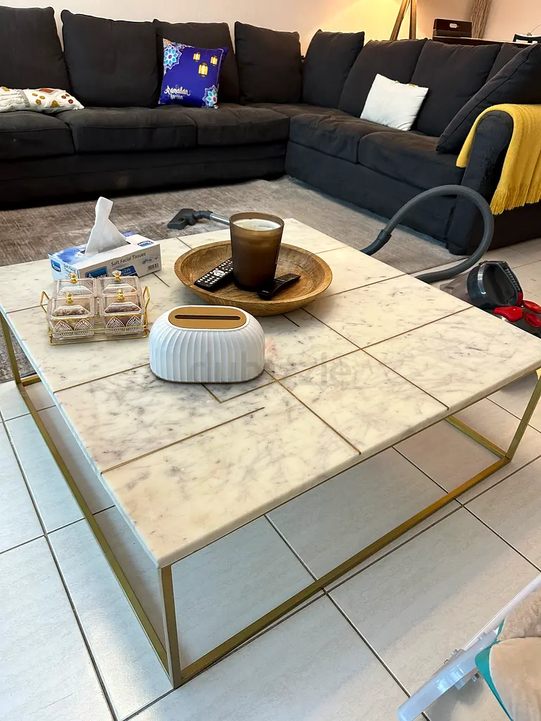 Marble Coffee Table