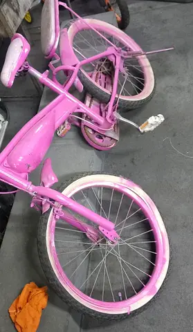 schwinn pioneer bike