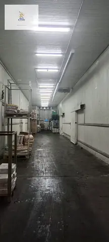 Cold Store I Huge Compound I High Ceiling