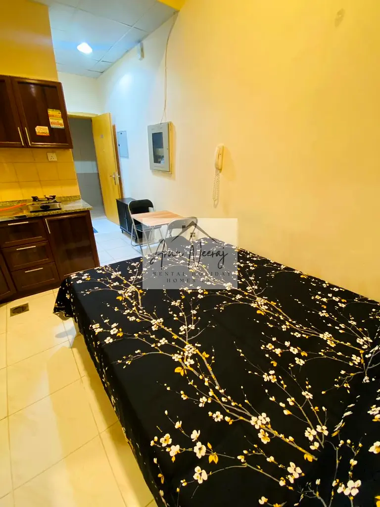 Apartment/Flat for Rent NEW STUDIOS AVAILABLE FOR MONTHLY RENTAL 5