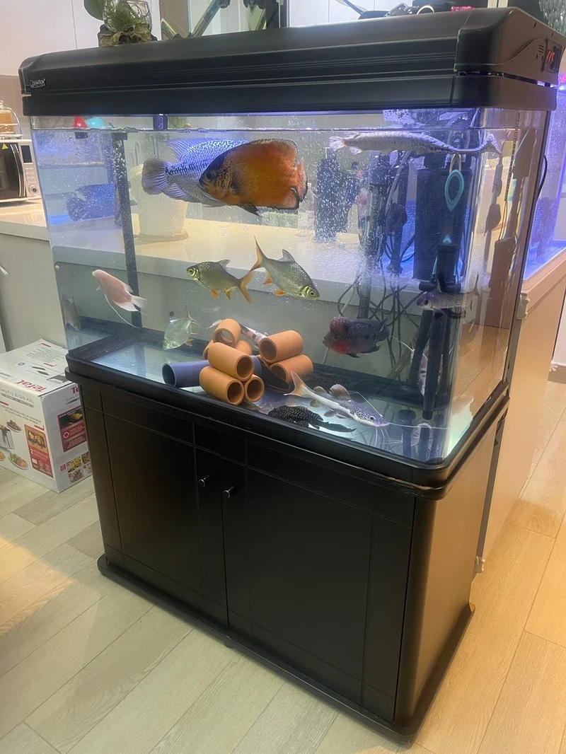 Strong 250 litre Aquarium
