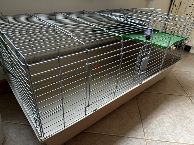 Brand new Cage for small animals plus extra sealed food for rabbit