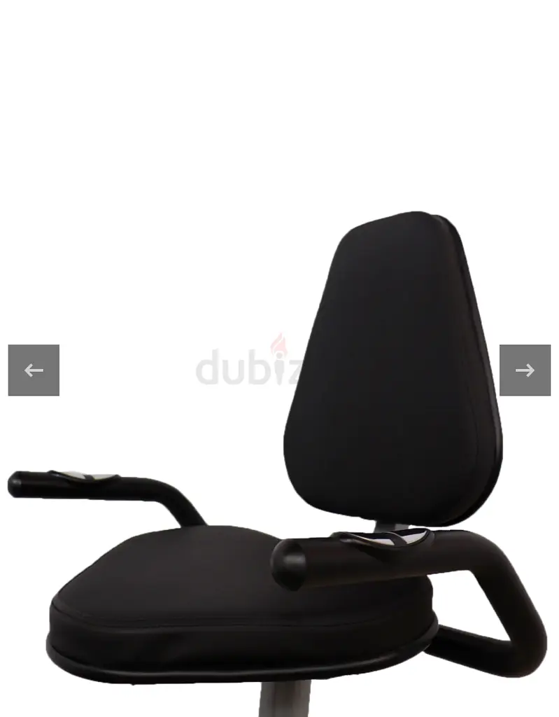 Gym Cardio Machine Commercial Recumbent Bike