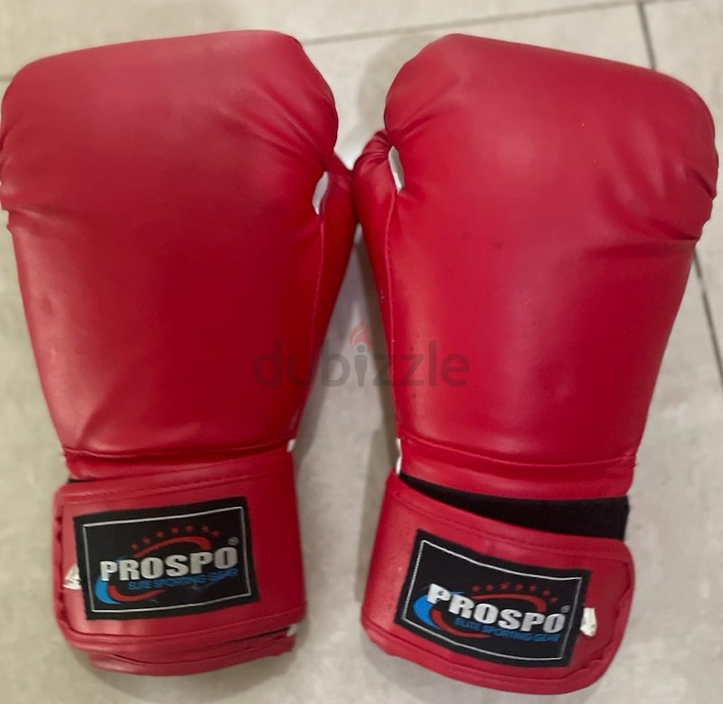 Boxing Bag ( With Gloves ) For Sale 