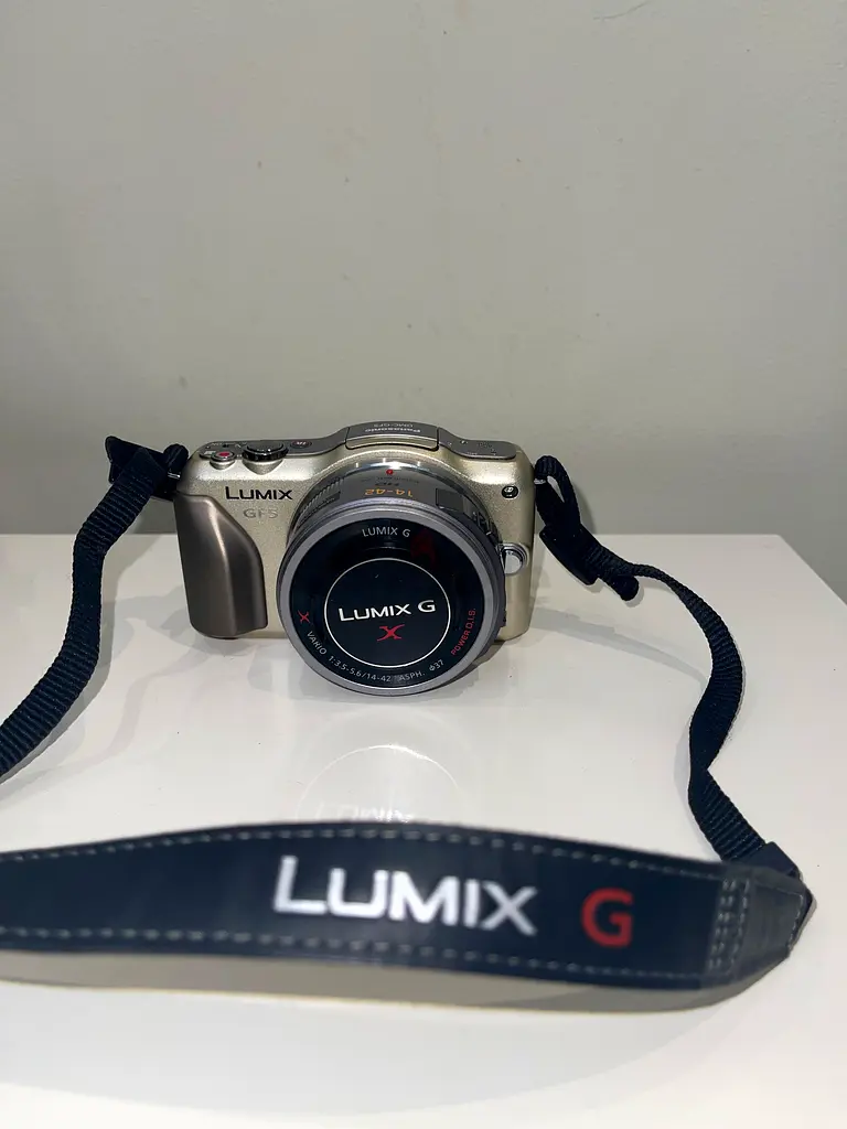Panasonic LUMIX DMCGF5X Digital Camera