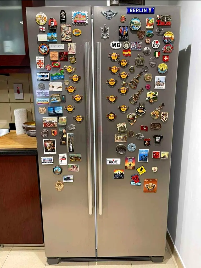 Siemens side by side refrigerator