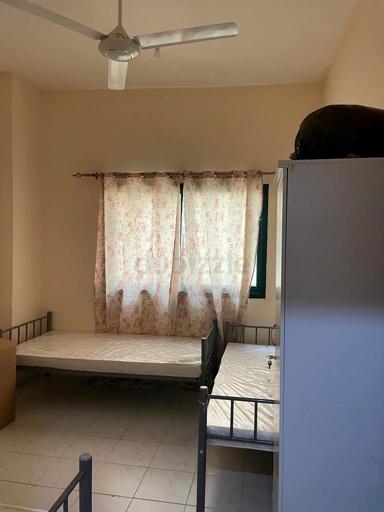 Apartment Bed Space Available for Executive Bachelors in Al Qasimiya