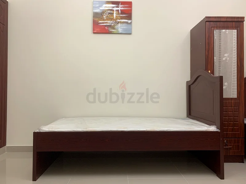 Apartment Attached washroom Indian executive Male Bachelor Bedspace