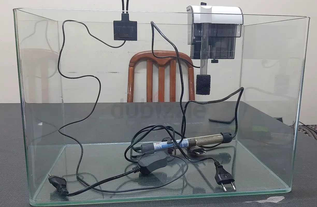 Fish aquarium for sale