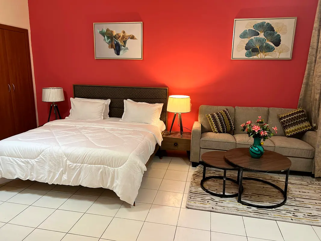 Apartment/Flat for Rent Real Picture One Time Used Fully Furnished Studio in France Cluster