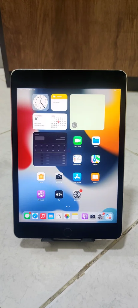 iPad mini 463215377982849114