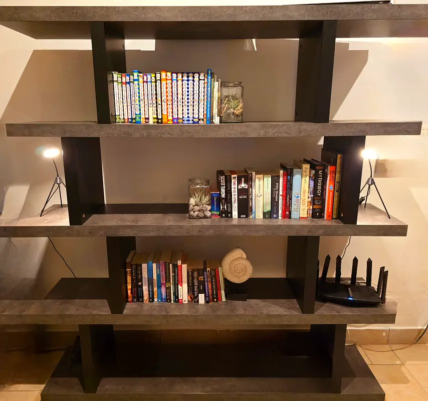 Amazing Bookcase