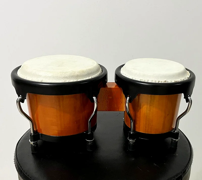 بينجوس صغيرة63230188004610110