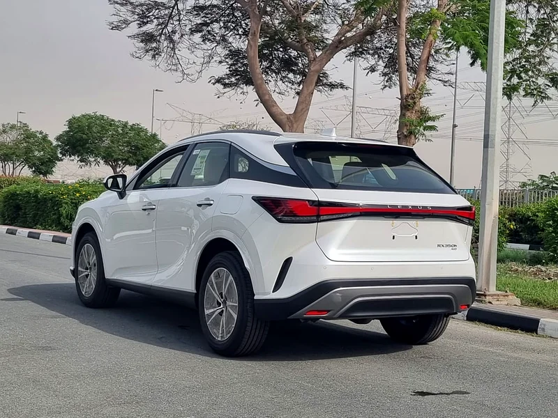 RX350 STD H 2024 - للتصدير63226216955393111